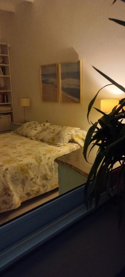 La Biblioteca Apartman Olavarría Kültér fotó
