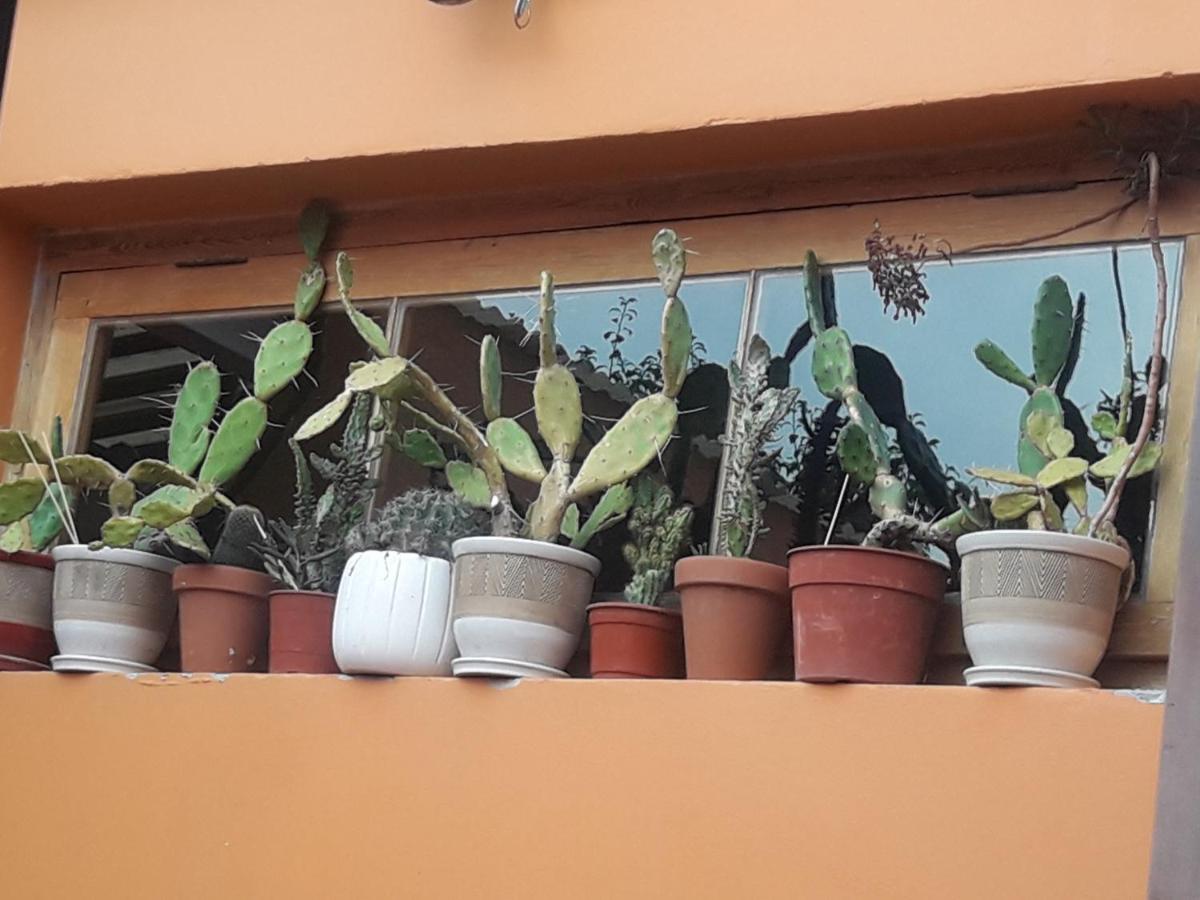 La Biblioteca Apartman Olavarría Kültér fotó